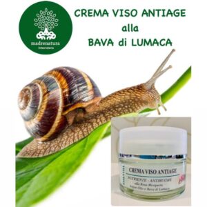 Crema viso Antietà