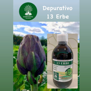 Depurativo 13 Erbe